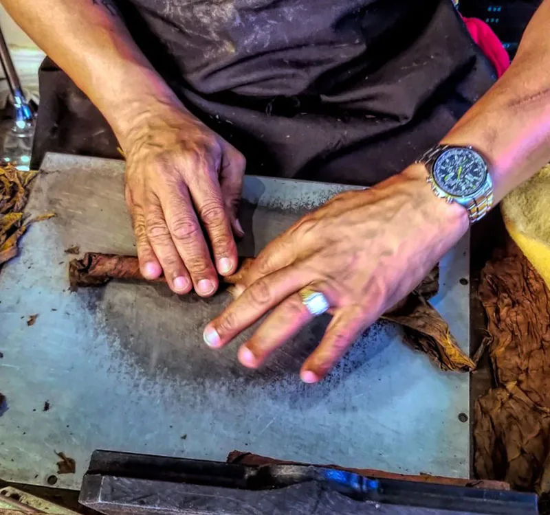 Live cigar rolling