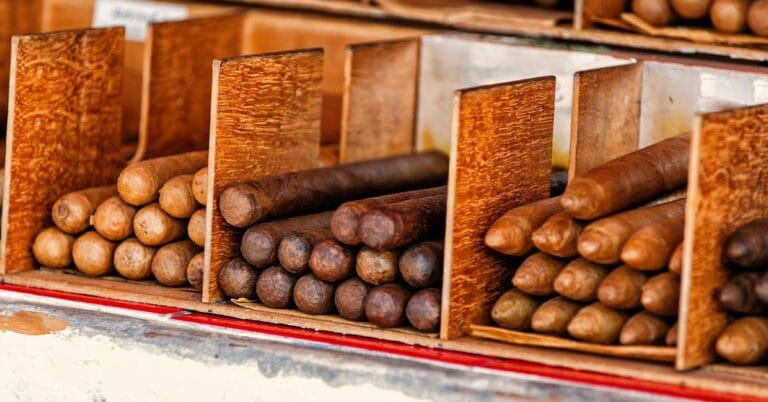 Cigar Subscription Box Models: Differences