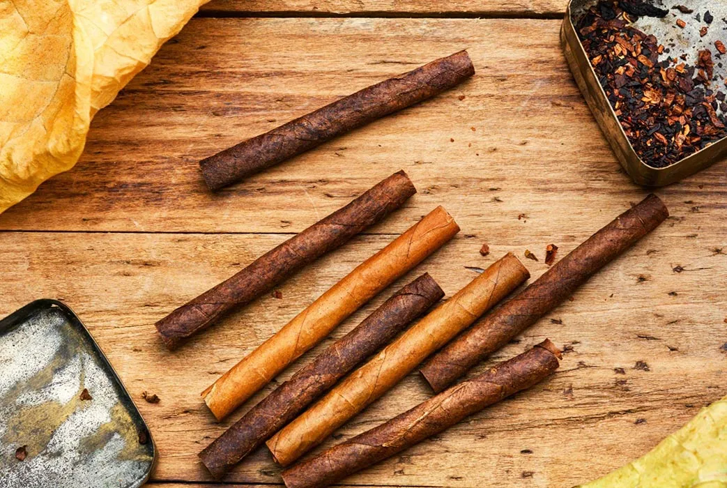 Examine the body of the cigar