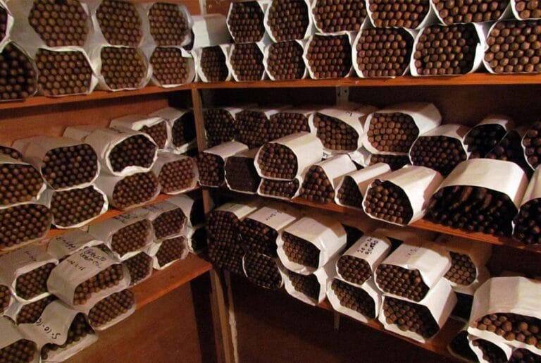 Cigar Bundles: Culture & Traditions