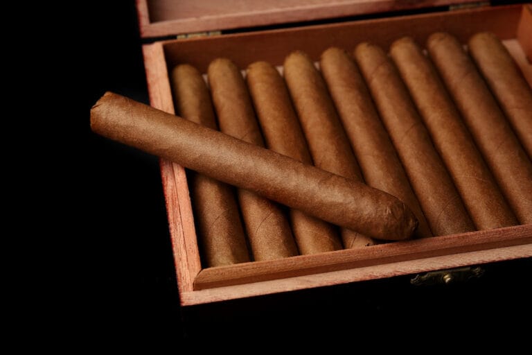 The Best Cigar Subscription Boxes According to Bloggers