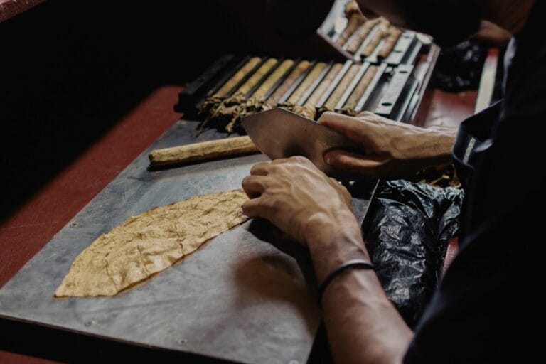 Well-Known Cigar Manufacturers