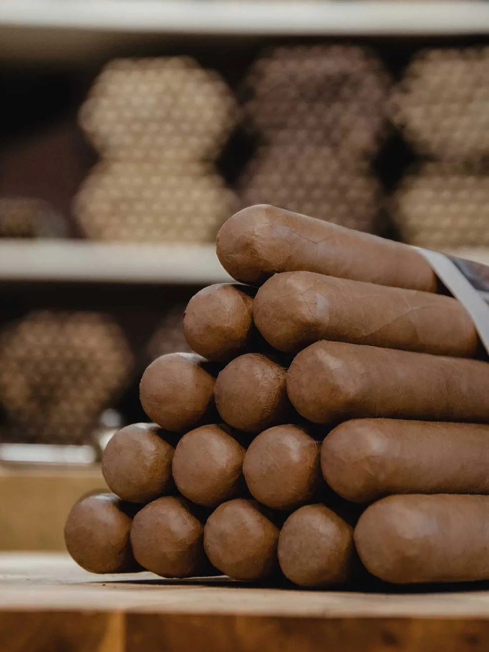 Bundle of 15 - Toro Habano