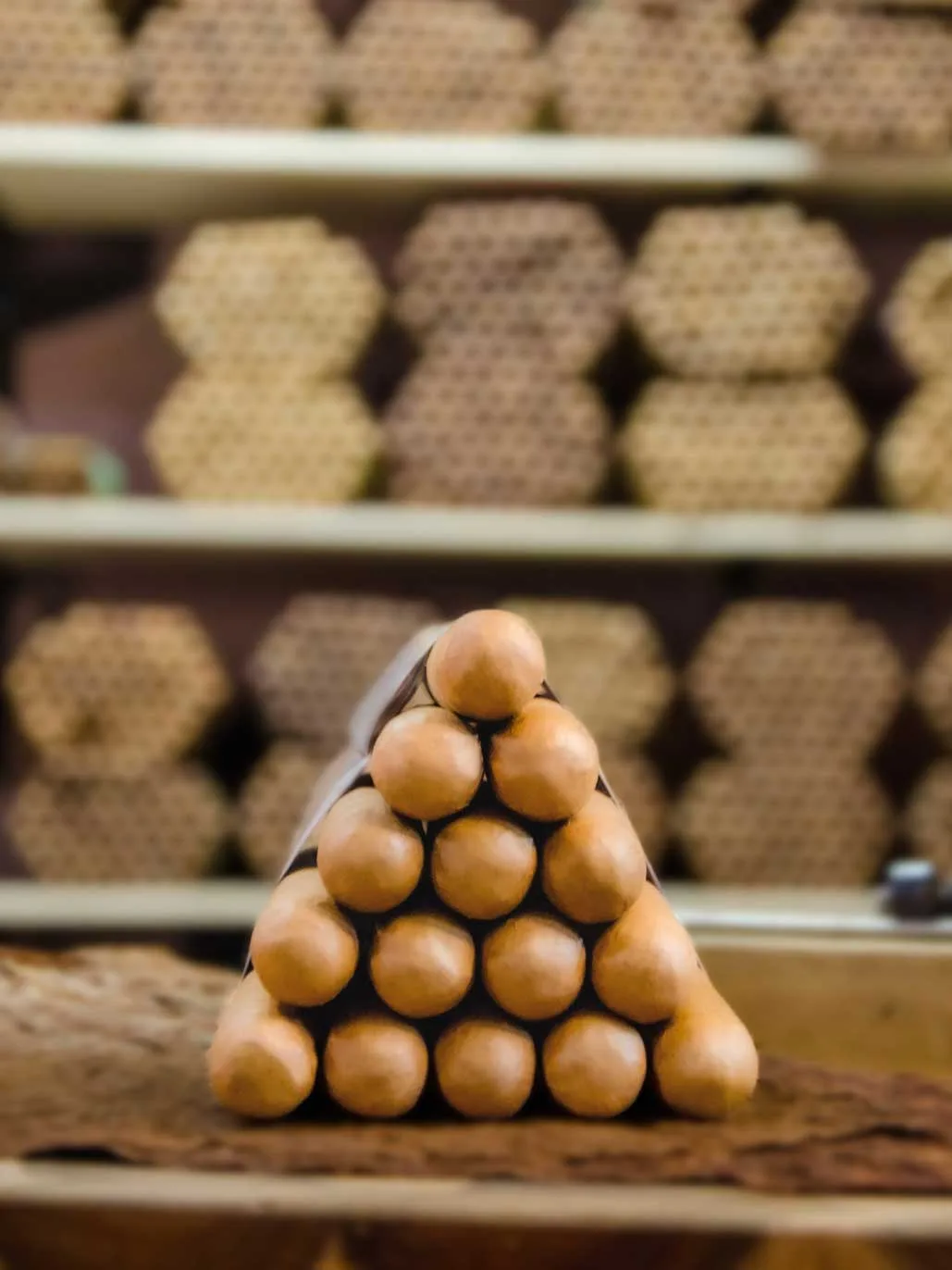 Bundle of 15 - Robusto Connecticut