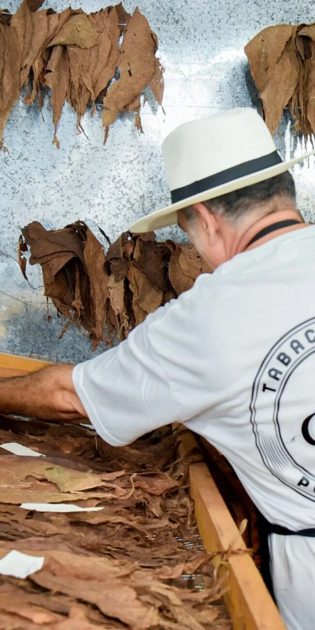 1BE57806-5733-40FD-82D0-F7C9B86F9036