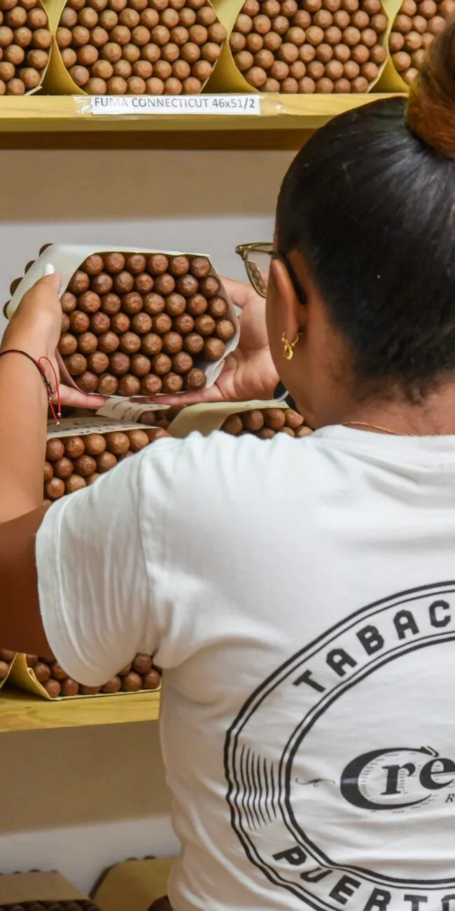 3DEBB850-A725-4423-8A99-D7DDB26CFB4E